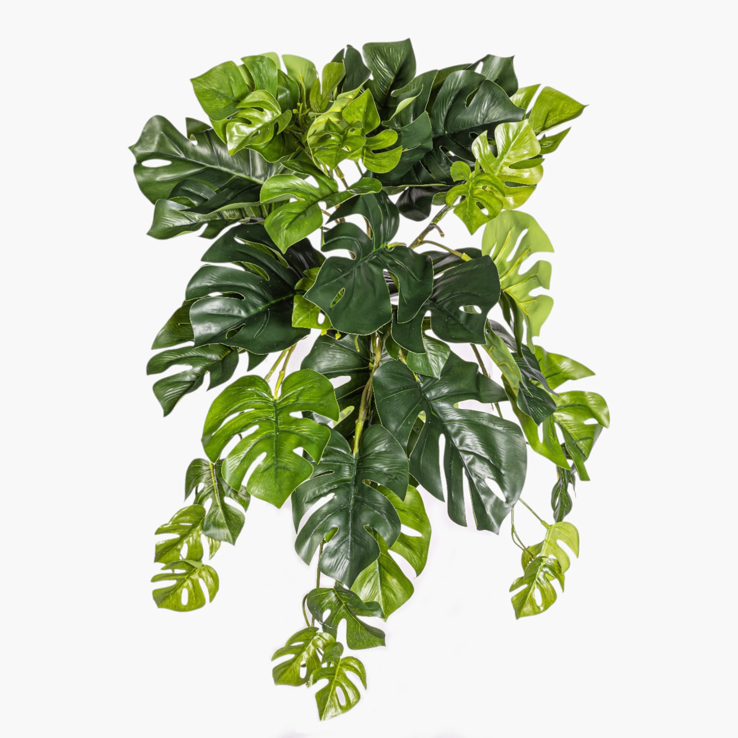 New Florals, Greenery and Succulents